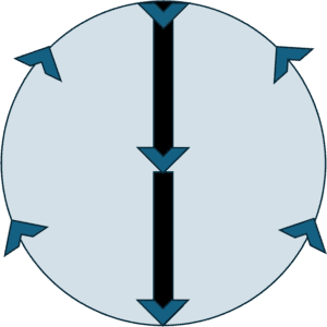 Head Moving on Eyes Visual Tracking Pattern