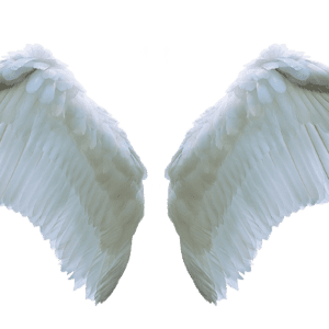 Resonate Health Guided Demon Clearing Ceremony