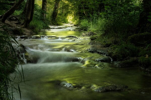 nature