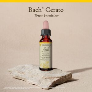 Cerato Flower Essence