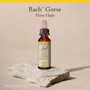 Gorse Flower Essence