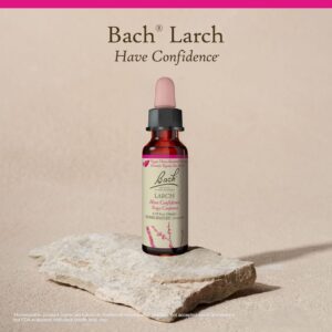 Larch Flower Essence