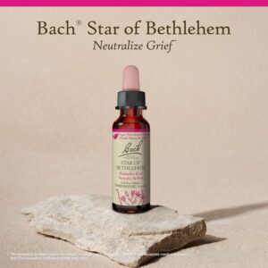 Star Of Bethlehem Flower Essence