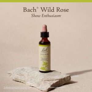 Wild Rose Flower Essence
